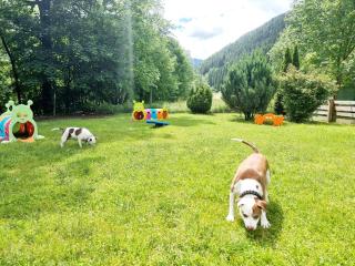 Appartamento Adamello 14 - 7