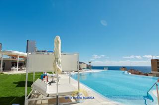 Sunset Cliffs Palms - 8