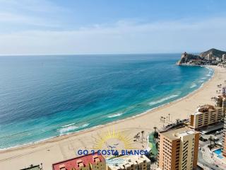 Sunset Cliffs Palms - 6