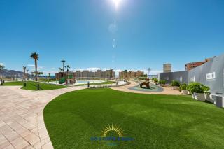 Sunset Cliffs Palms - 1