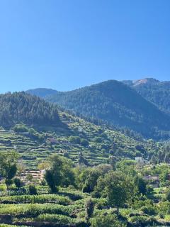 Room with amazing view on mountain Tidghine Ketama - 8