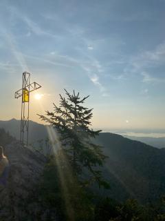 Gästehaus Wolfgang Taubensee -3- - 8
