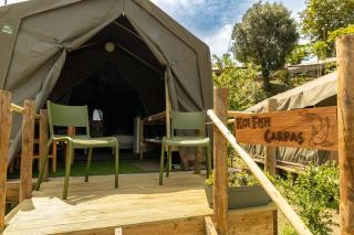 Safari Glamping Portugal Parrot - 5