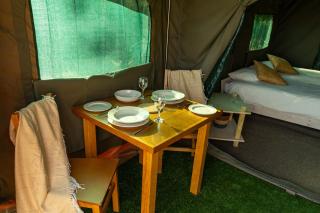 Safari Glamping Portugal Parrot - 3