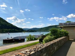 Ferienhaus am Rheinpark - 9