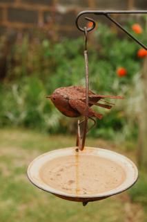 Cicada Cottage Peaceful Drakensberg Retreat - 8