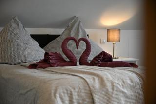 Ferienwohnung Nordschwarzwald - 9