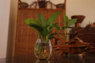 Mogan's Guest House - 2