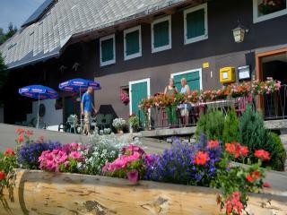 Gasthaus-pension zum Löwen - 4