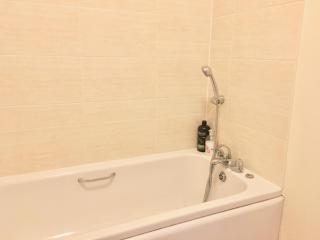 AwayOnBusiness Garden Apartment near New Forest - 8