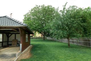 Chalet bei Marktbreit - 6