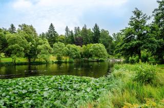 Ferienwohnung Schmälzle - 5