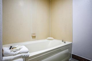 The Leo Collection Detroit, an Ascend Collection Hotel - 8