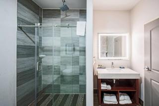 The Leo Collection Detroit, an Ascend Collection Hotel - 5