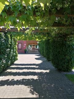 Ferienwohnung Sawade Schafstedt - 4