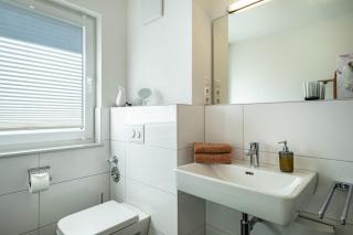 Amsel - Vogelhaus - 9