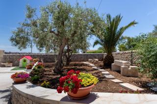 Casa vacanza i due ulivi - 8