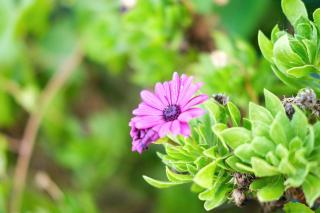 Antico Casale Gioiosa Marea - 9