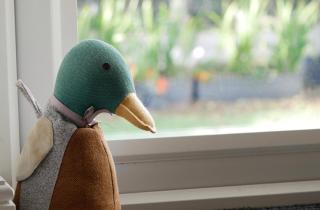 Bright, Stylish 1-Bed Bungalow with Private Garden - 1