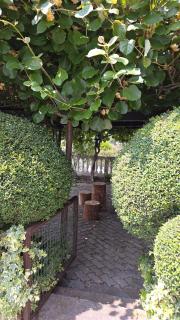 Il nido sul lago - 1