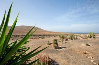 Apartamento la Solapa - 9