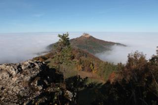 Ferienwohnungen beim Imker - 2