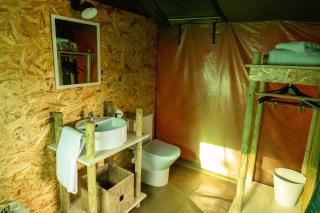 Safari Glamping Portugal Lion - 4