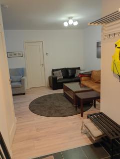 Ferienwohnung 2 Lakeland Åäng 6 Vislanda - 6