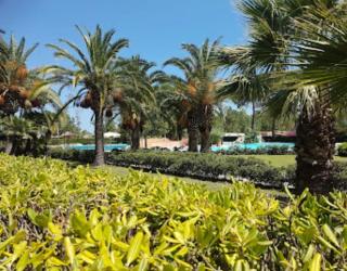 Tra Ulivi E Mare - 8