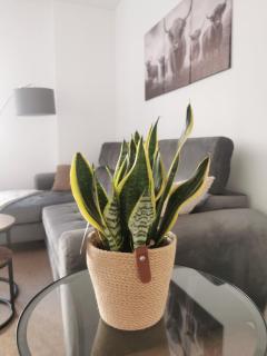 Stevenson Apartment in Oban City - 6