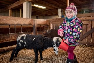 Ratschingser Kreuz Blasighof - Racines - 6