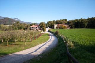 Colleincanto Appartamento Torretta - 9