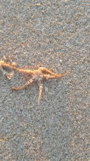 Sunset Troia Beach - 5