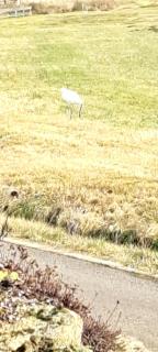 Wohnung Aussicht - 8