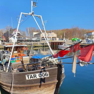 Ferienhaus Sonnenblumen - 6