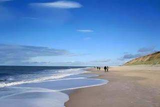 Gemütliche Wohnung Reet-Pool-Sauna - 8