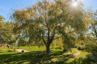 Gite La Grange Hulotte - 7