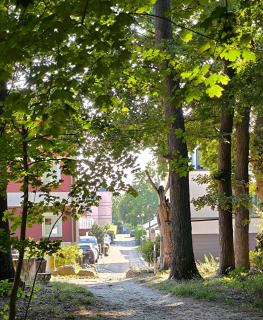 Haus Seeadler Wohnung 12 - 5