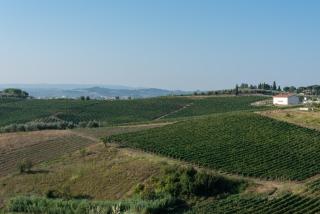 Girasole Apartment - 2