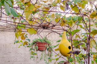 Cabana Raízes - LaCabanasEco - Chapecó - 7