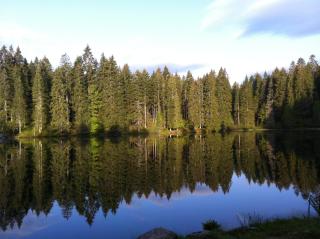 Hirschlehaus Ferienwohnung Bärental - 9