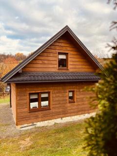 Bieszczady Żubrowe Wzgórze 785-049-543 - 7