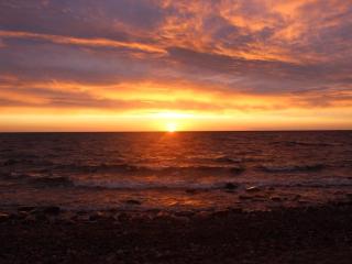 Ferienhaus Seepferdchen - 9