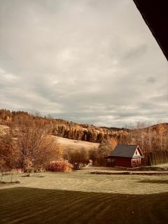 Bieszczady Żubrowe Wzgórze 785-049-543 - 6