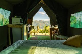 Safari Glamping Portugal Tiger - 8