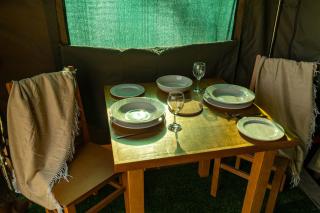 Safari Glamping Portugal Tiger - 5