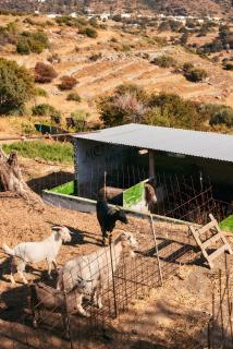 Oak Farm Traditional guesthouse - 6