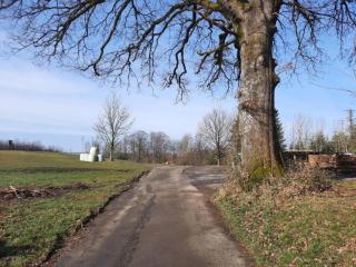 Ferienwohnung Dörflich - 7