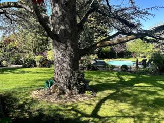 Modern Loft, spectacular grounds, pool & hot tub - 5