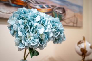 Cool Motion Rocha Beach T2 - 7